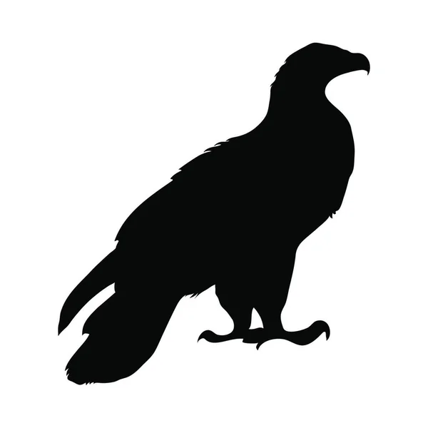 Silueta Ptactva Vektorová Ilustrace — Stockový vektor