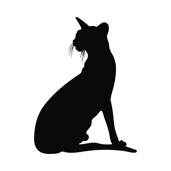 Kat Silhouet Glad Helder Vector Illustratie — Stockvector