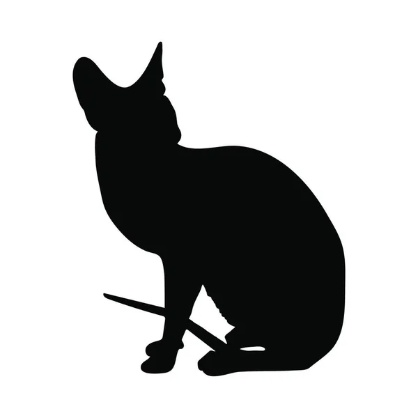 Silhouette Chat Doux Clair Illustration Vectorielle — Image vectorielle