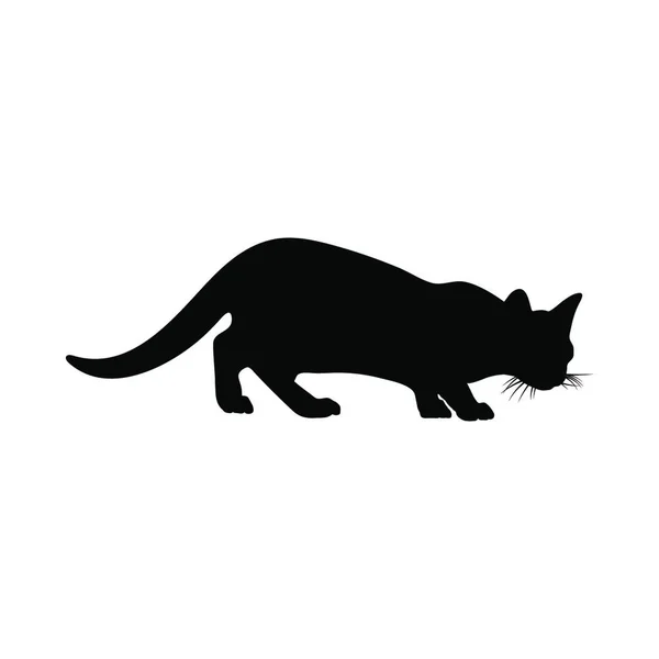 Silueta Gato Suave Claro Ilustración Vectorial — Vector de stock