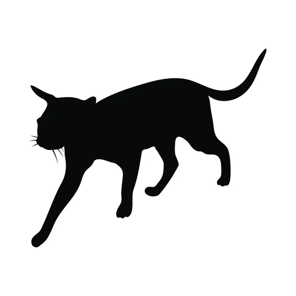 Cat Silhouette Suave Claro Ilustração Vetorial — Vetor de Stock