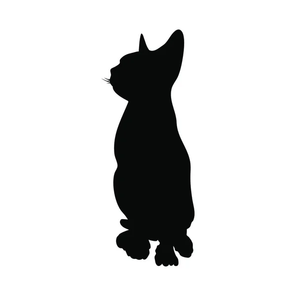 Silhouette Chat Doux Clair Illustration Vectorielle — Image vectorielle