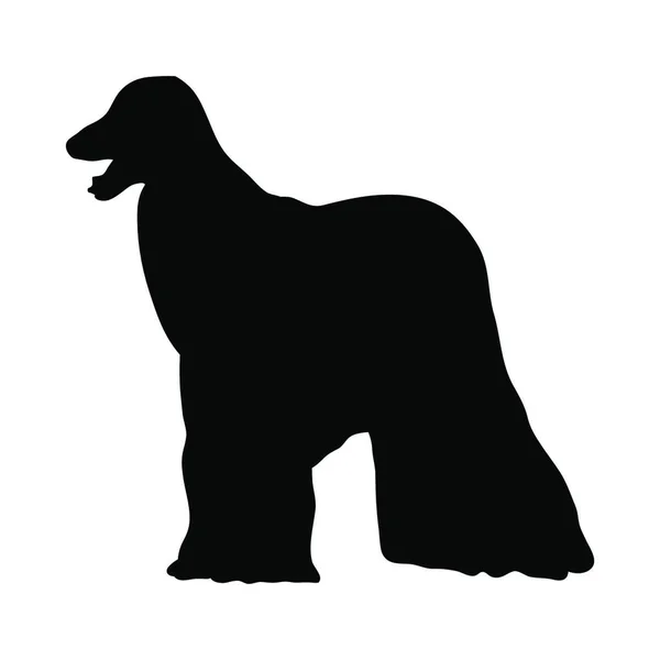 Afghan Hound Dog Silhouette Ilustração Suave Vetor — Vetor de Stock