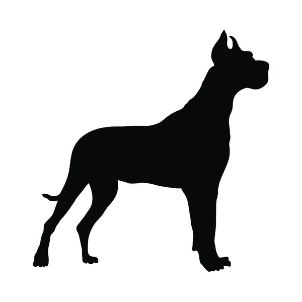 German Great Dane Dog Silhouette Smooth Vector Illustration — Stock Vector