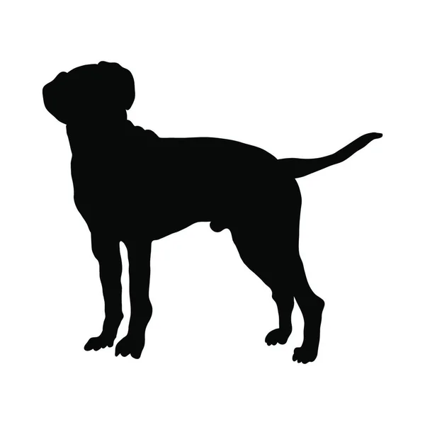 Dalmatian Dog Silhouette Smooth Vector Illustration — Stock Vector