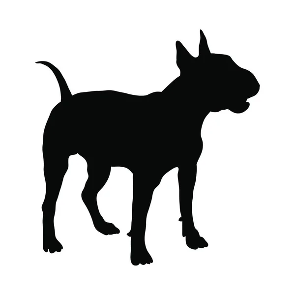 Bull Terrier Hund Siluett Smidig Vektor Illustration — Stock vektor