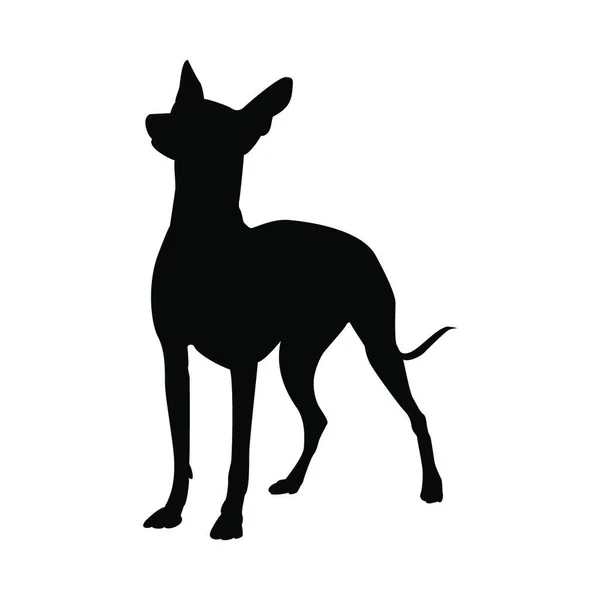 Мексиканська Гола Собака Силует Гладка Векторна Ілюстрація — стоковий вектор