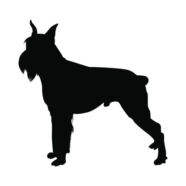 Shnauzer Dog Silhouette Ilustración Vectorial Suave — Vector de stock