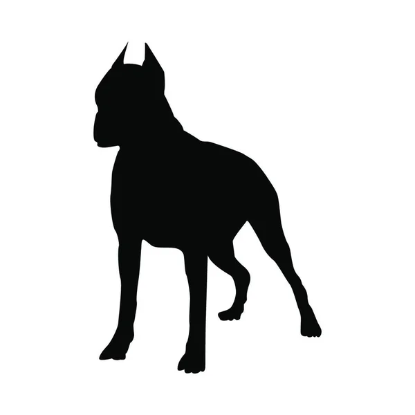 Boxer Dog Sylwetka Gładka Ilustracja Wektorowa — Wektor stockowy