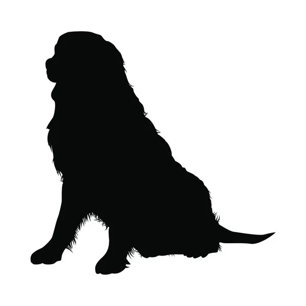 Bernese Mountain Dog Silhouette Ilustração Suave Vetor — Vetor de Stock