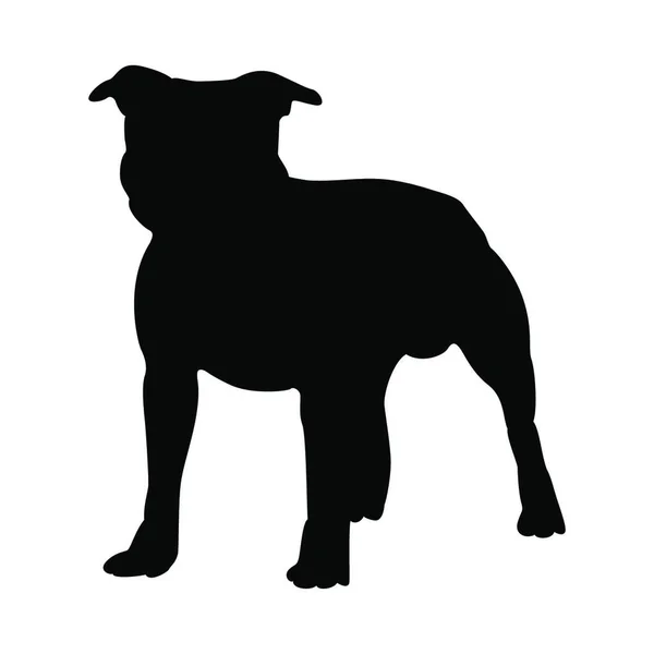 Silhouette Chien Terrier Staffordshire Illustration Vectorielle Lisse — Image vectorielle