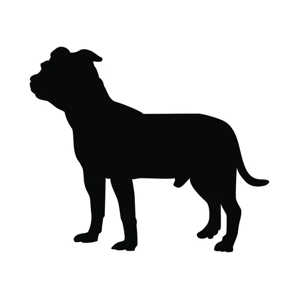 Staffordshire Terrier Dog Silhouette Ilustração Suave Vetor — Vetor de Stock