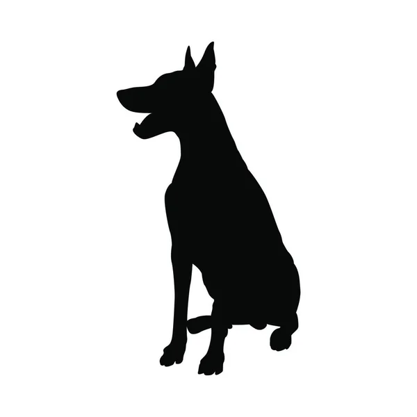 Доберман Пінчер Собака Силует Гладка Векторна Ілюстрація — стоковий вектор