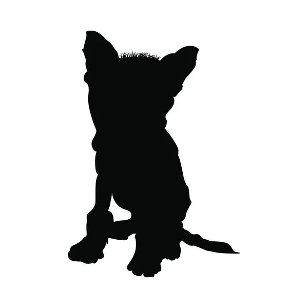 Chinês Crested Dog Silhouette Ilustração Suave Vetor — Vetor de Stock