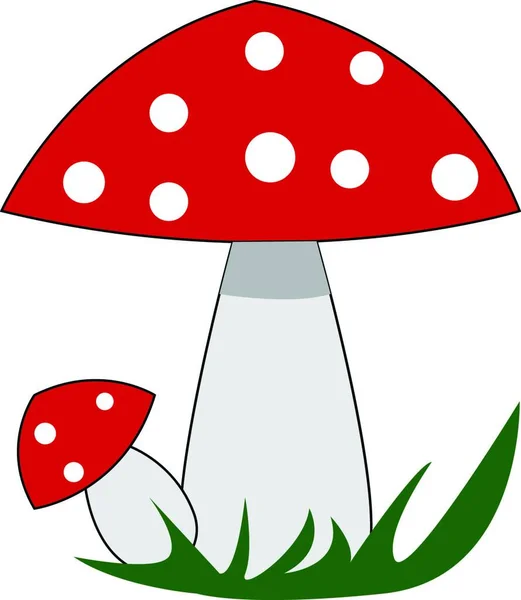 Cogumelos Vermelhos Com Bolinhas Brancas Vetor Ilustração Sobre Fundo Branco — Vetor de Stock