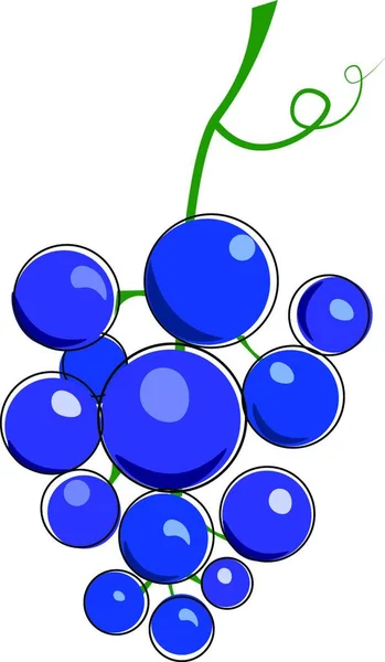 Σύμπλεγμα Μπλε Σταφυλιών Τενίλη Απεικόνιση Διάνυσμα Λευκό Φόντο — Διανυσματικό Αρχείο