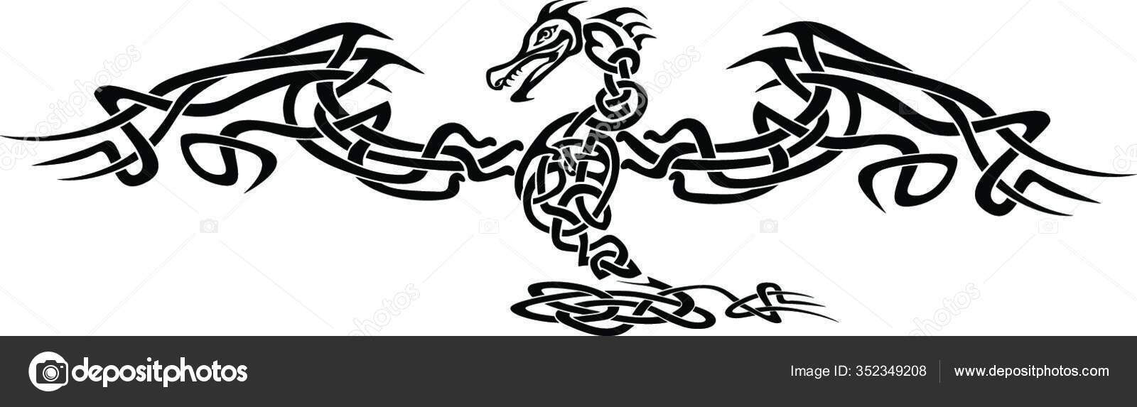 Imponiendo Estilizado Nudo Celta Dragón Tatuaje Ilustración Vector de stock  #352349208 de ©PantherMediaSeller, image size:1600x573
