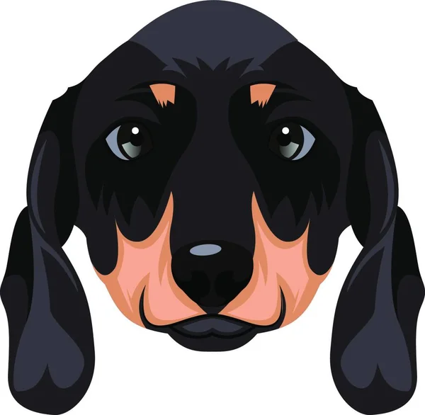 Illustration Vectorielle Dachshund Sur Fond Blanc — Image vectorielle