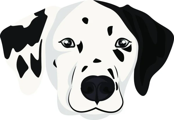 Dalmatian Illustration Vektor Vit Bakgrund — Stock vektor