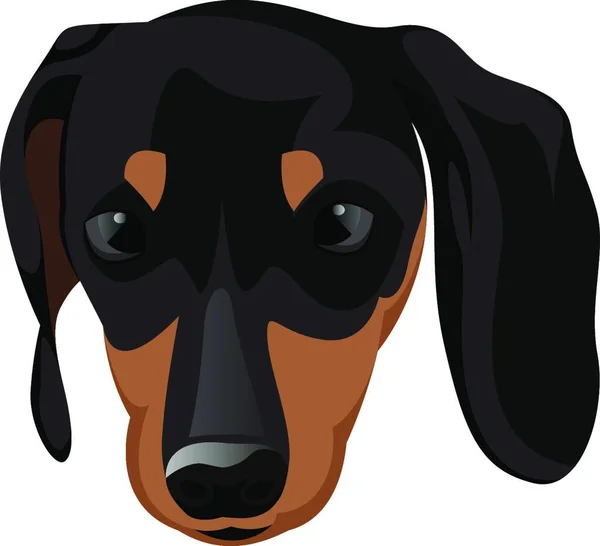 Kleiner Dobermann Illustrationsvektor Auf Weißem Hintergrund — Stockvektor