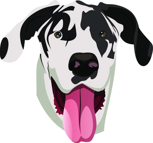 Great Dane Illustration Vektor Vit Bakgrund — Stock vektor