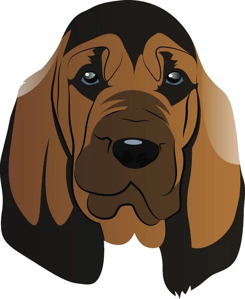 Brown Blood Hound Illustration Vector White Background — Stock Vector