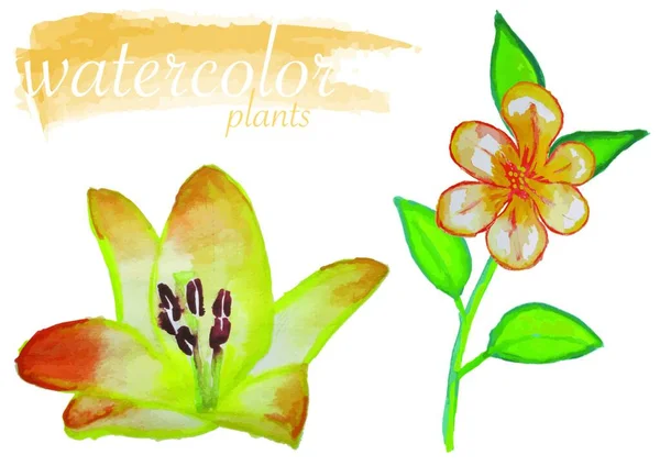 Ensemble Fleurs Aquarelle Jaune Éléments Conception Florale Pour Votre Illustration — Image vectorielle