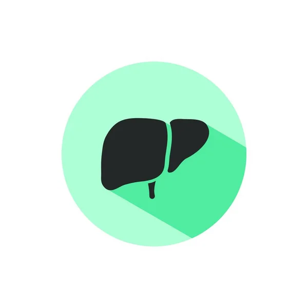 Ícone Fígado Com Sombra Círculo Verde Ilustração Vetorial — Vetor de Stock