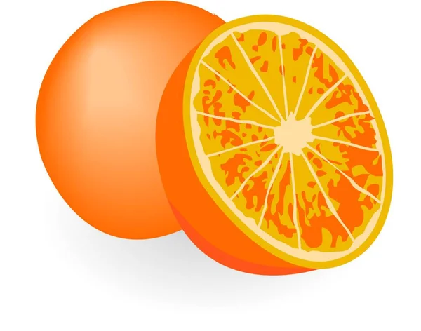 Orangen Isoliert Auf Weißem Hintergrund — Stockvektor