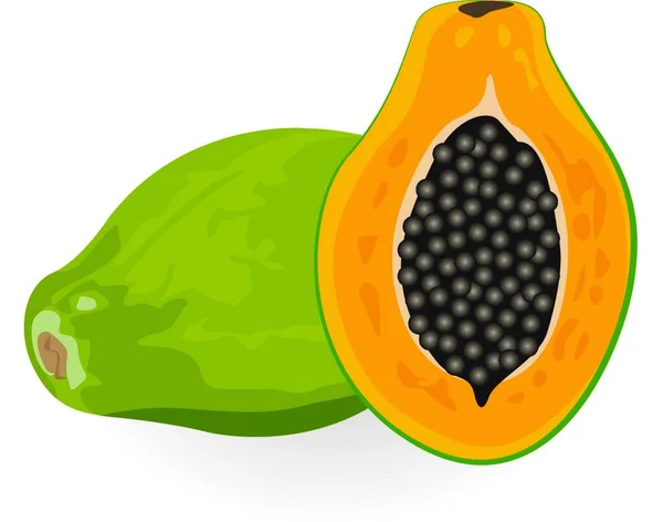 Ilustración Vectorial Papaya Sobre Fondo Blanco Aislado — Vector de stock