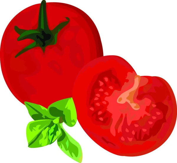 Tomates Brunch Illustration Vectorielle Menthe Sur Fond Blanc — Image vectorielle