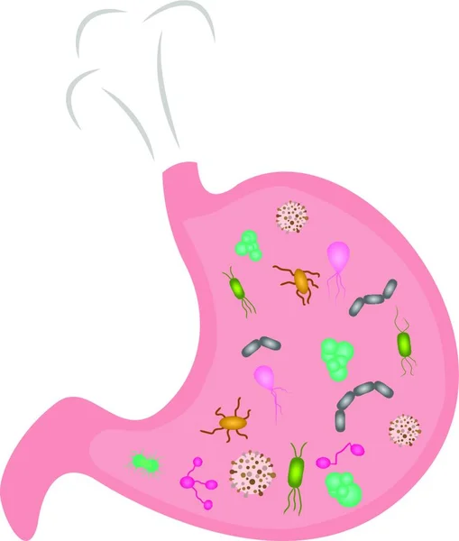 Uno Stomack Pieno Microbi Illustrazione Vettoriale Stile Cartone Animato — Vettoriale Stock