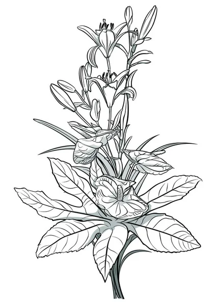Dessin Noir Blanc Fleurs Bouquet Illustration Croquis Décoratif Graphique Vectoriel — Image vectorielle