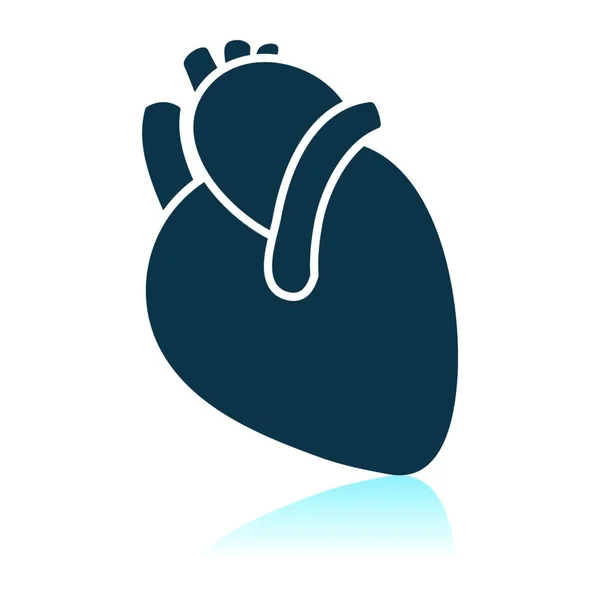 Icono Del Corazón Humano Diseño Reflejo Sombra Ilustración Vectorial — Vector de stock