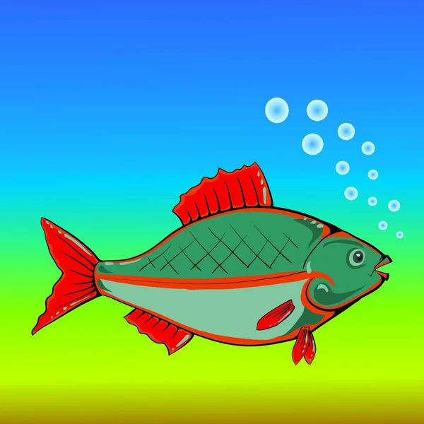 Barevné Ilustrace Rybami Pro Váš Design — Stockový vektor