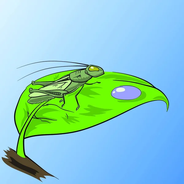 Ilustracja Kolorowy Grasshopper Projektowania — Wektor stockowy