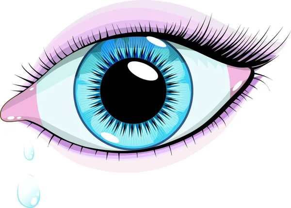 Vecteur Beaux Yeux Bleus Femme Sur Fond Blanc — Image vectorielle