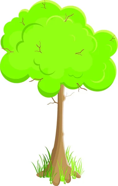 Árbol Verde Ilustración Vectorial Aislado Sobre Fondo Blanco — Archivo Imágenes Vectoriales