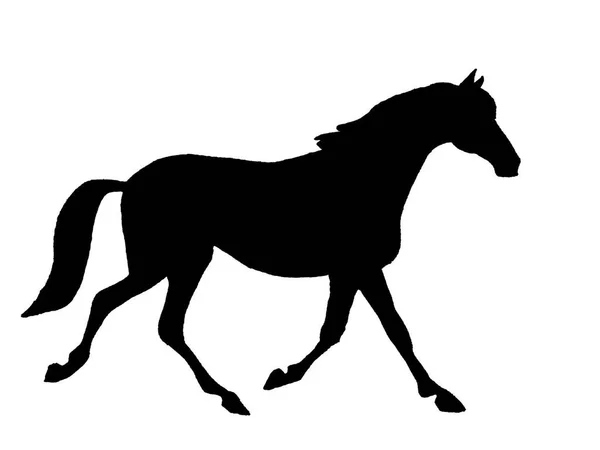 Dibujo Caballo Aislado Blanco — Vector de stock