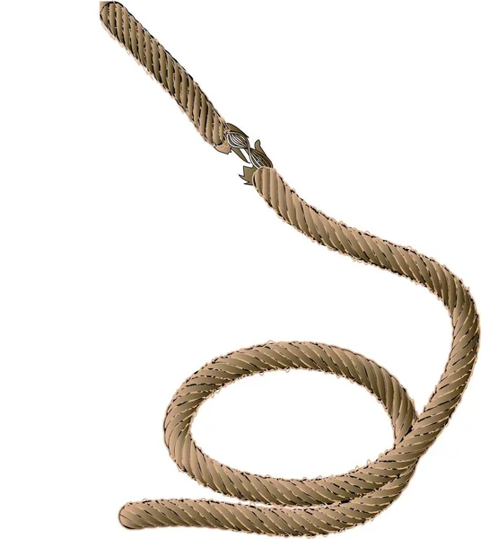 Стара Мотузка Ізольована Білому Тлі — стоковий вектор