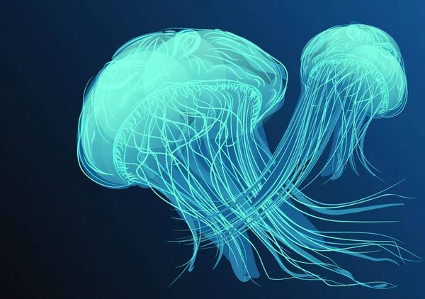 Медузы Морская Фауна — стоковый вектор