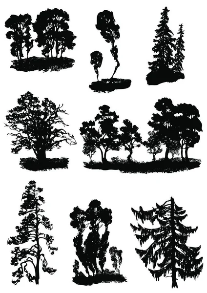 Vektorová Ilustrace Různých Stromů — Stockový vektor