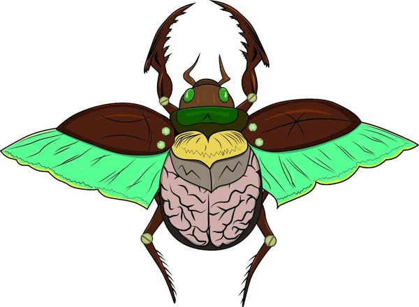 Besouro Escaravelho Com Parafusos Cérebros Isolados Sobre Fundo Branco — Vetor de Stock