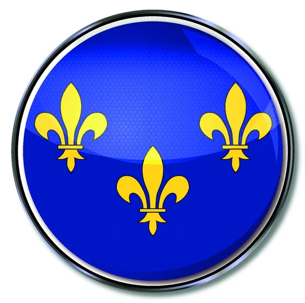 Düğme Bayrağı France Vektör Illüstrasyonu — Stok Vektör