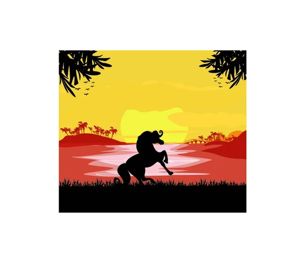 Silhouet Paard Bij Zonsondergang — Stockvector