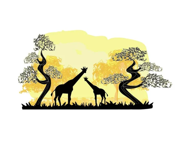 长颈鹿在大自然中的照片野生动物 — 图库矢量图片