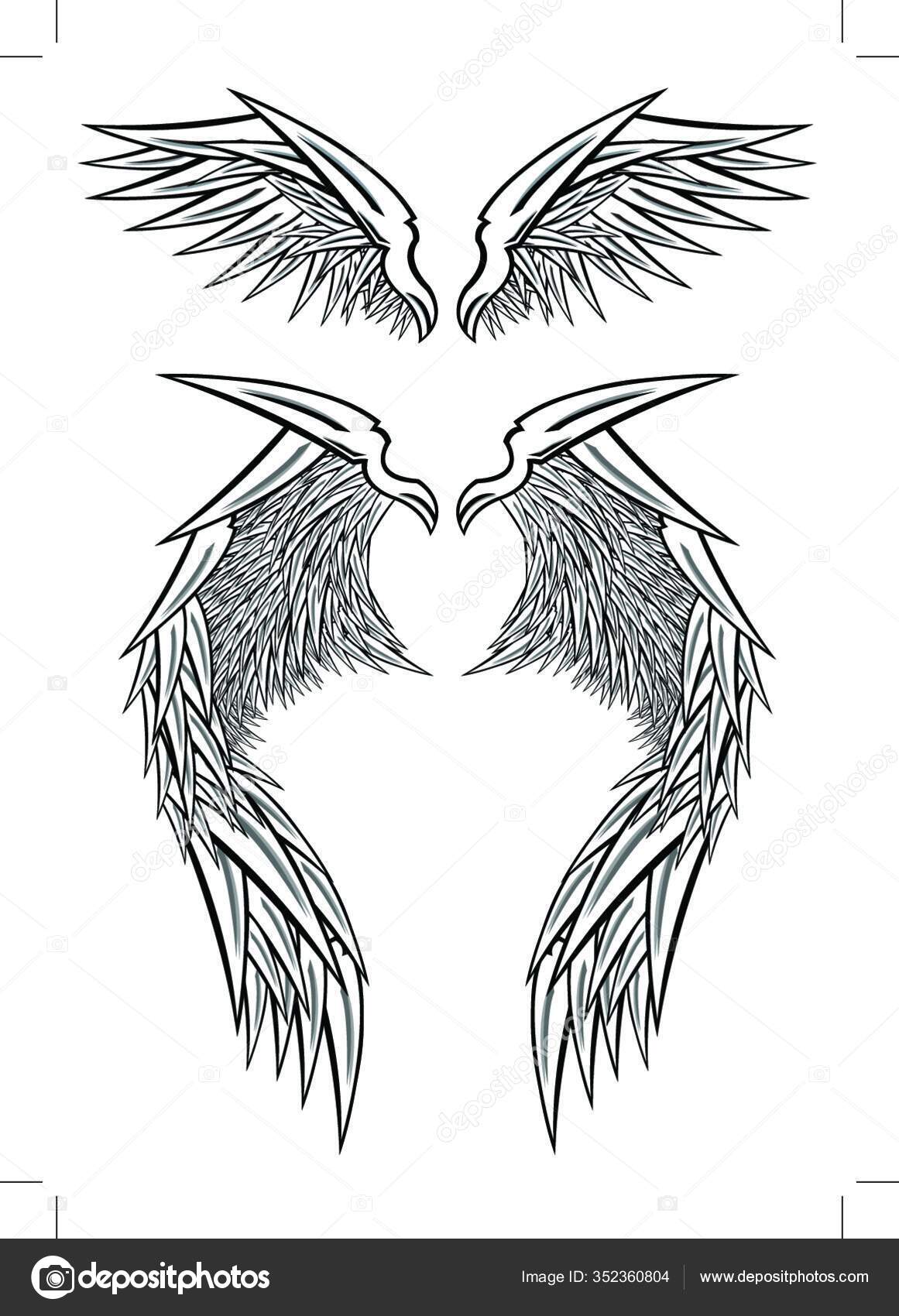Vektorillustration Eines Vogels Aus Federn Stockvektor C Panthermediaseller 352360804