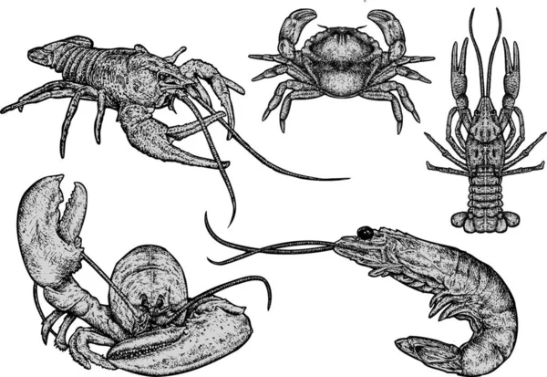 Shellfish Definir Ícone Plano Ilustração Vetorial — Vetor de Stock