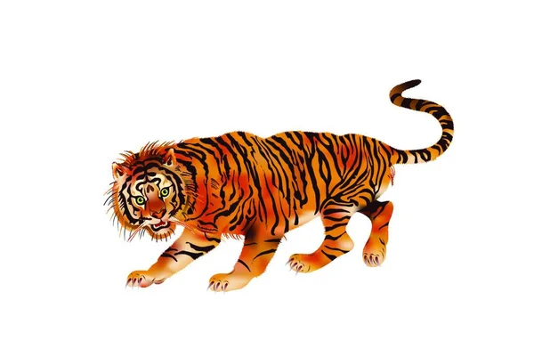 Illustrazione Vettoriale Della Tigre Ambulante Bestia Preda — Vettoriale Stock
