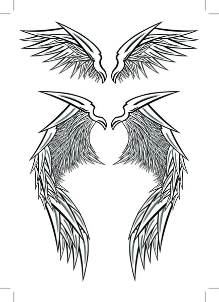 Illustration Vectorielle Oiseau Plumes — Image vectorielle